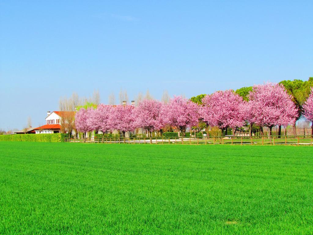 Agriturismo Le Cipressine Meolo Esterno foto