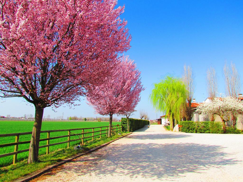 Agriturismo Le Cipressine Meolo Esterno foto