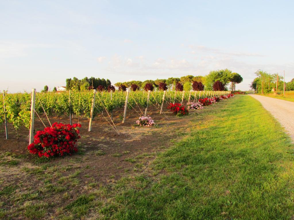 Agriturismo Le Cipressine Meolo Esterno foto